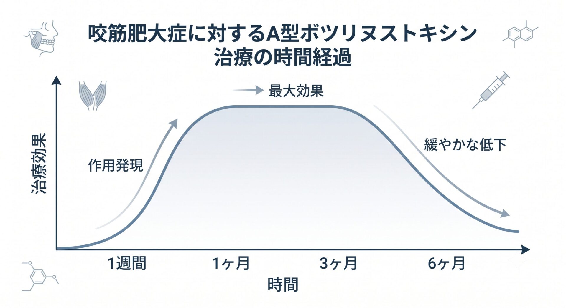 ボツリヌス注射後の咬筋の活動とボリュームの推移
